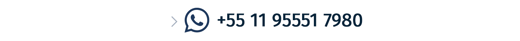 +55 (11) 95551 7980